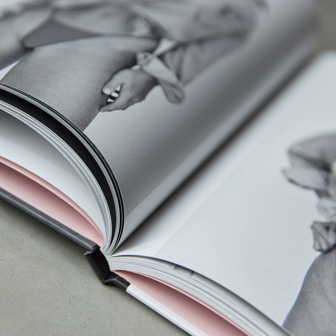 Dedicated x Anastasiia